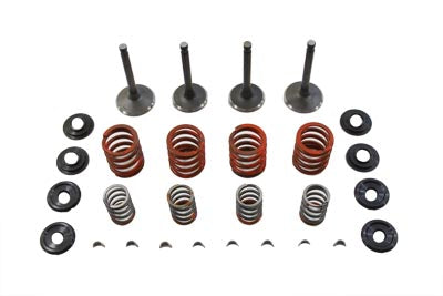 11-0794 - Nitrate Valve and Spring Kit