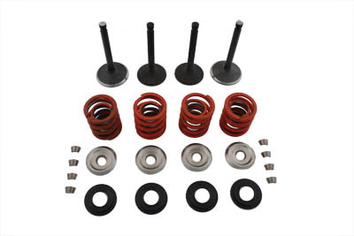 11-0796 - Nitrate Valve and Spring Kit