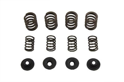 2815961 - Valve Spring Set