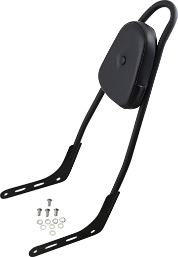 1501-0681 - MOTHERWELL One-Piece Sissy Bar - Matte Black - Skull - With Pad 156T18-MB-SK-WP