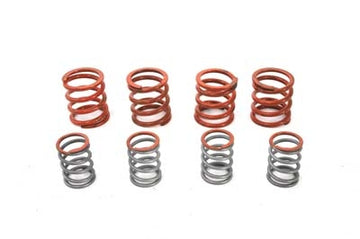 13-0169 - Valve Spring Set