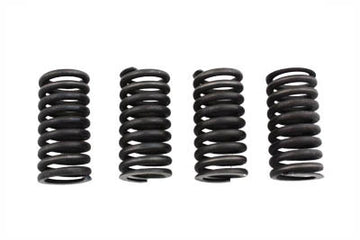 13-9153 - Valve Spring Set