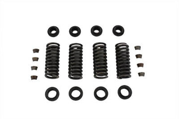 13-9206 - Valve Spring Kit