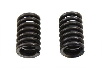 13-9258 - 39mm Fork Damper Tube Spring Set