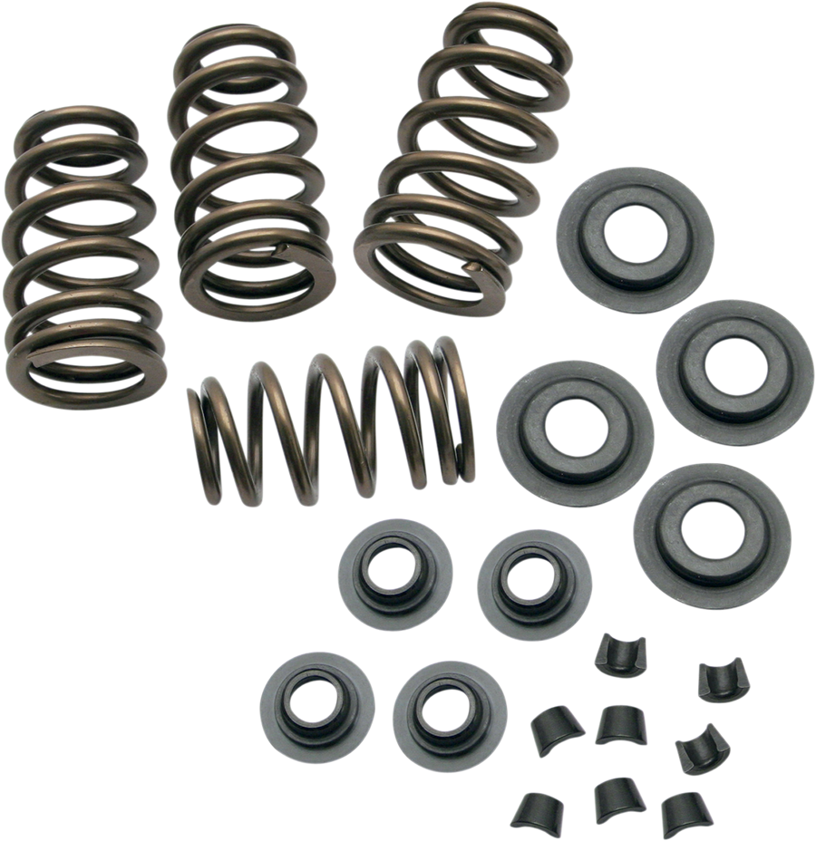 0926-2056 - S&S CYCLE Spring Kit - .650" 900-0050