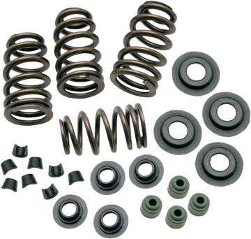 0926-2069 - S&S CYCLE Valve Springs - .650" - Twin Cam 106-5909