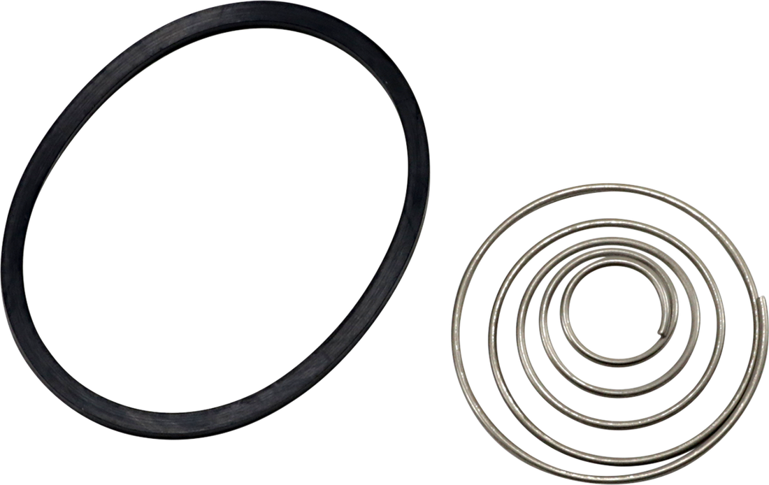 0712-0431 - ARLEN NESS Replacement Spring and Oil Ring Set 03-465