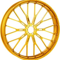 0210-0380 - ARLEN NESS Rim - Y-Spoke - Front - Gold - 19"x3.25" 71-557