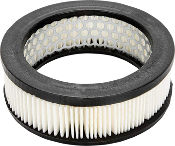 1011-4572 - GASBOX Dog Dish Air Filter Replacement 10283