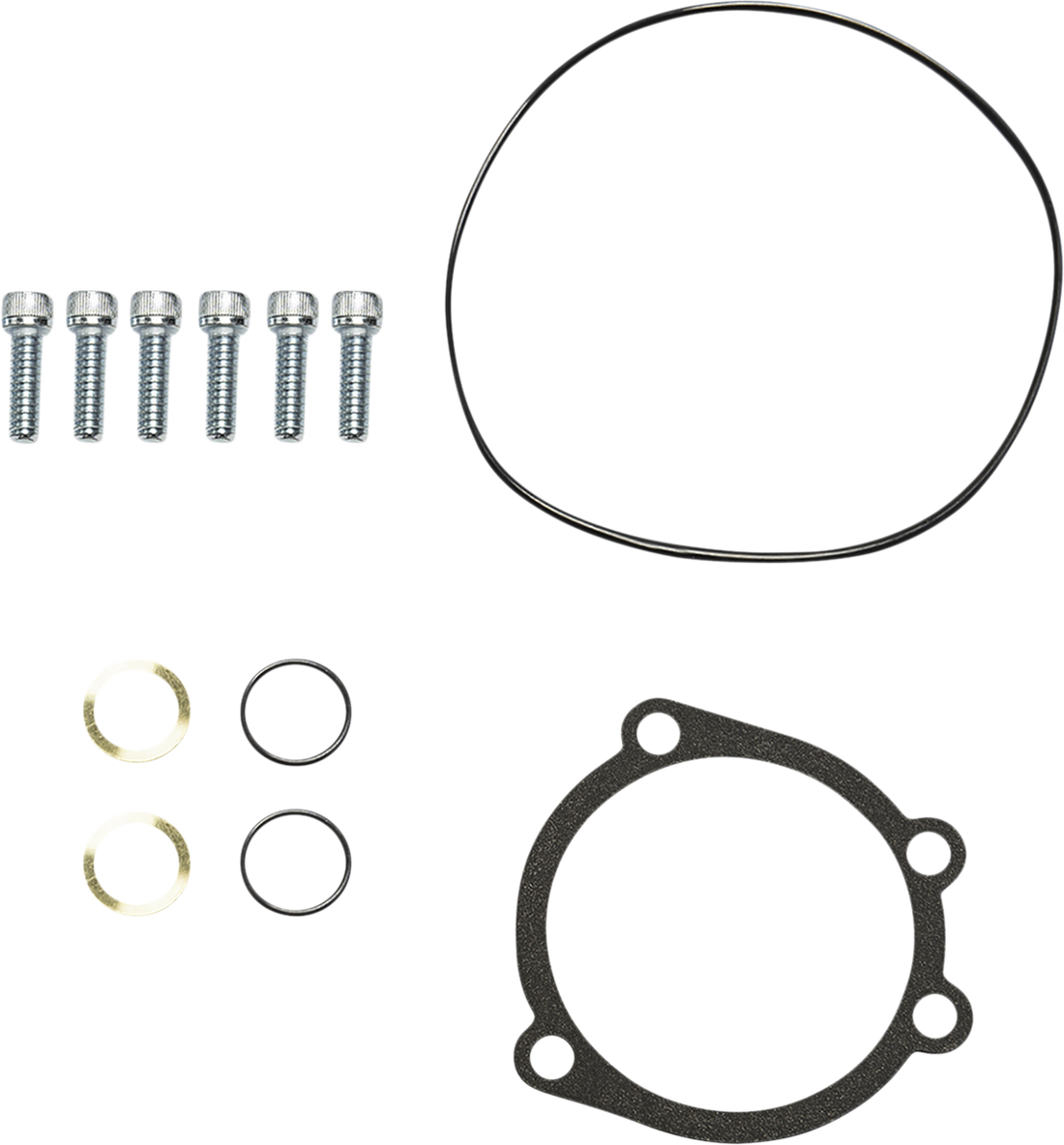 1010-2878 - ARLEN NESS Hardware Kit - Gasket - Monster/Velocity Series 602-021
