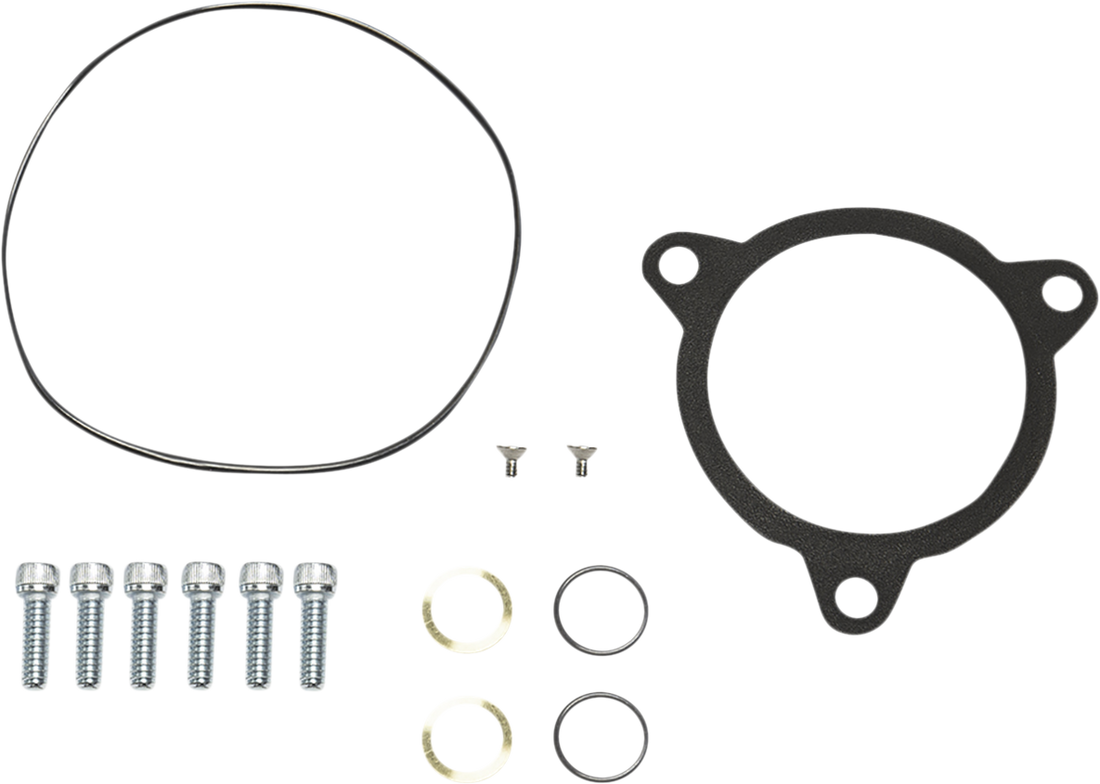 1010-2877 - ARLEN NESS Hardware Kit - Gasket - Monster/Velocity Series 602-020