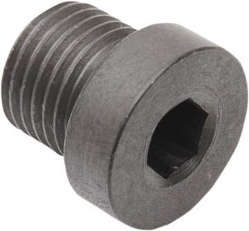 1861-0832 - DAYTONA TWIN TEC LLC 02 Sensor Plug - 12mm x 1.25mm - Steel 115010