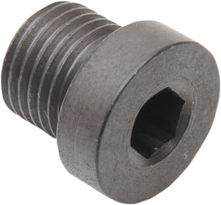 1861-0832 - DAYTONA TWIN TEC LLC 02 Sensor Plug - 12mm x 1.25mm - Steel 115010