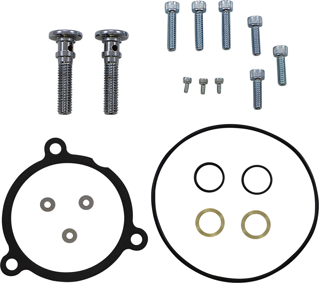 1010-2876 - ARLEN NESS Hardware Kit - Gasket - Monster/Velocity Series 602-019