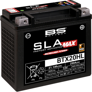 2113-0642 - BS BATTERY Battery - BTX20HL (YTX) 300883