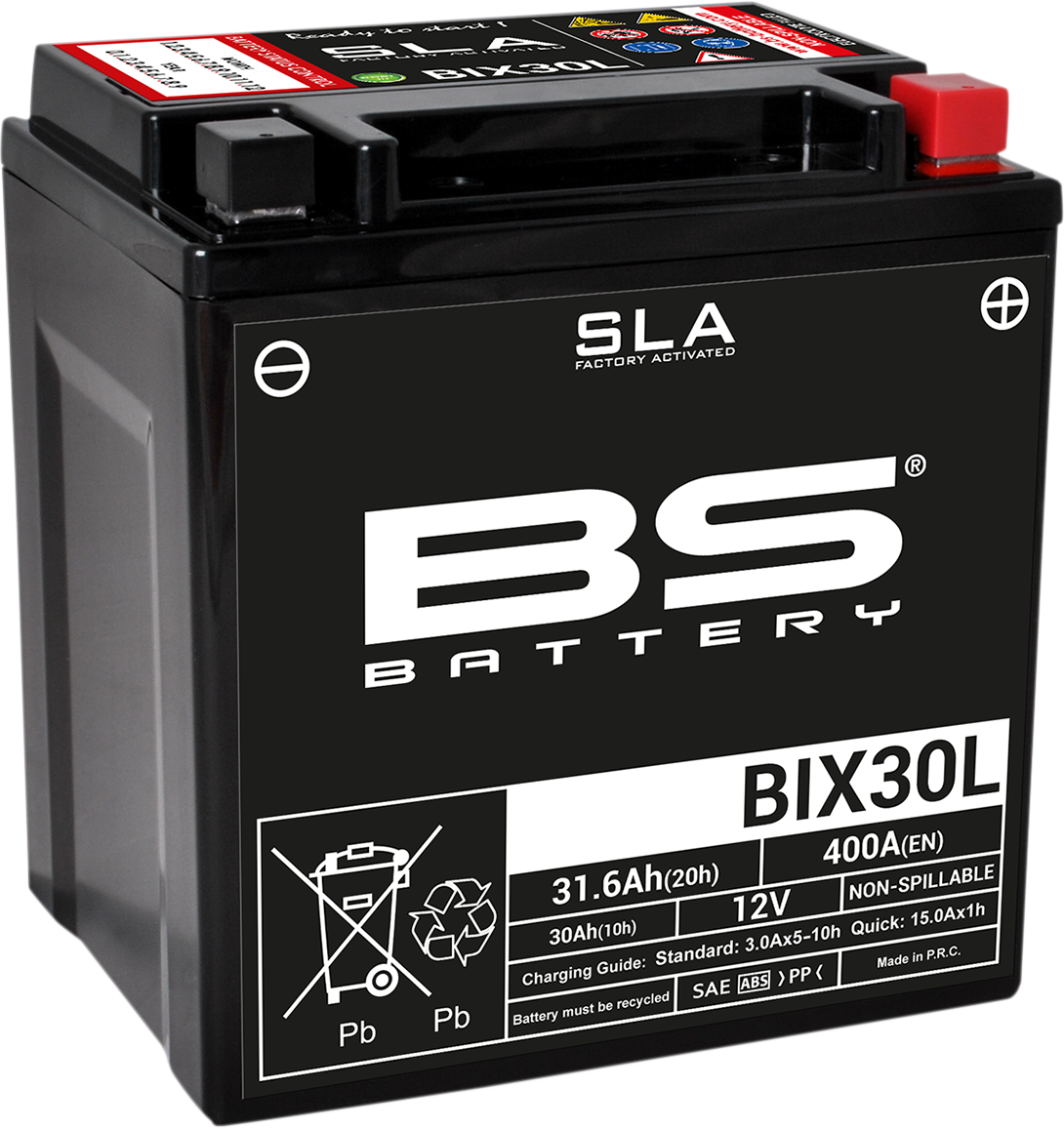 2113-0644 - BS BATTERY Battery - BIX30L (YIX) 300631
