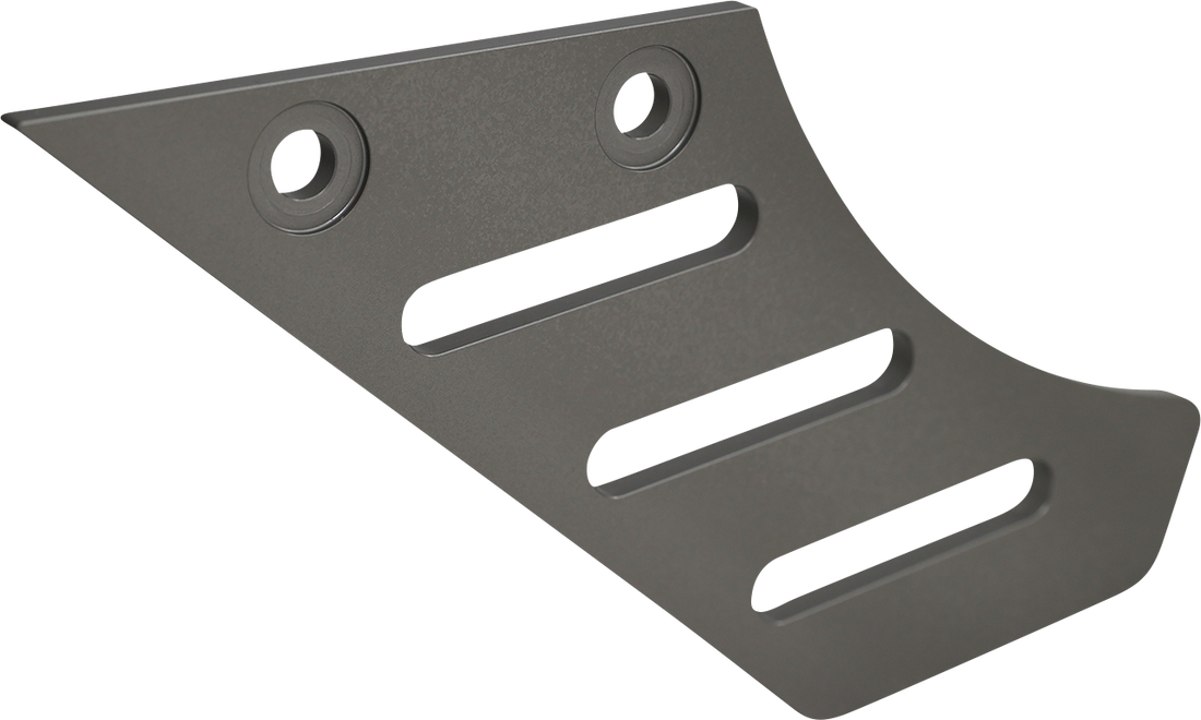 1202-0166 - DYNOJET Chain Guard - Pan America 61300096