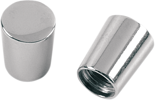 0361-0003 - GARDNER-WESTCOTT Valve Stem Caps - Chrome P-31-99