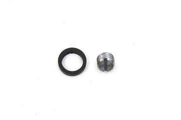 3116-2 - Shifter Fork Cam Shaft Lock Screw and Oil Seal Kit