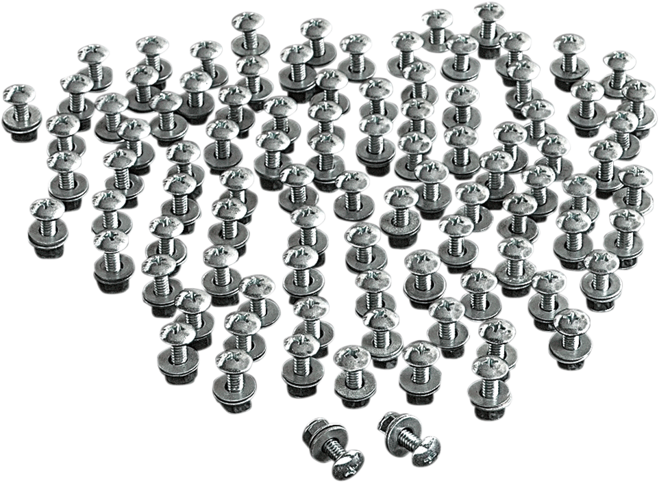 CH-100 - CH-100 - CHRIS PRODUCTS License Plate Bolts - 100PK CHB100