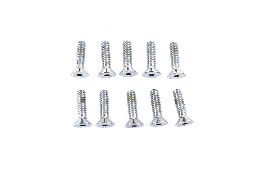 Handlebar Master Cylinder Cover Screw