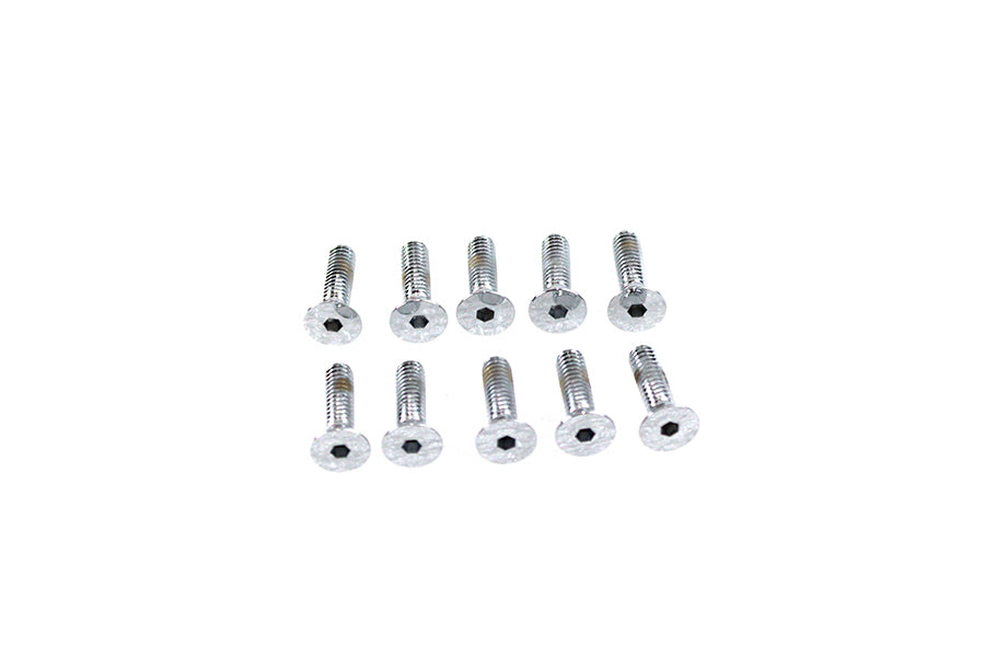 Handlebar Master Cylinder Cover Screw