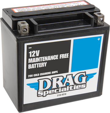 2113-0213 - DRAG SPECIALTIES AGM Battery - YTX14LBS DTX14L-BS