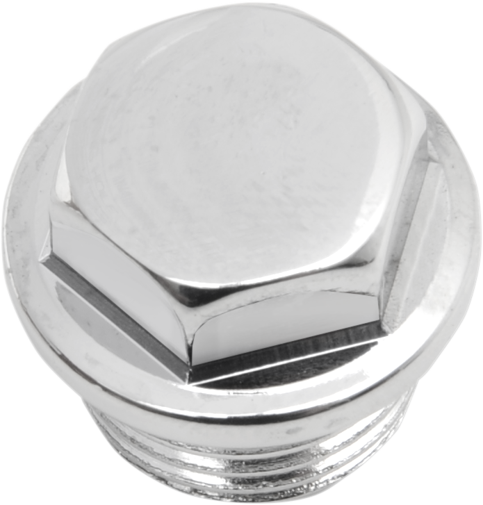 DS-190893 - COLONY Hex Nut Timng Plug 5/8-18 8610-1