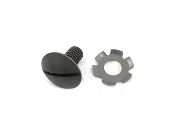49-1523 - Parkerized Pivot Lever Screw and Spring Set
