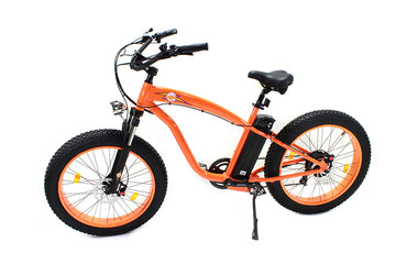 51-0000 - E-Bike 36 Volt 750 Watt