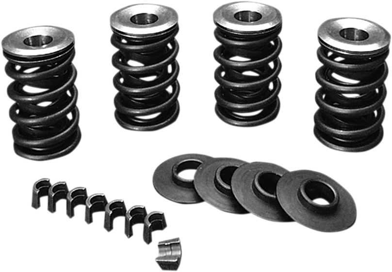 DS-199523 - JIMS Valve Spring Kit - Evolution - Big Twin 1350K