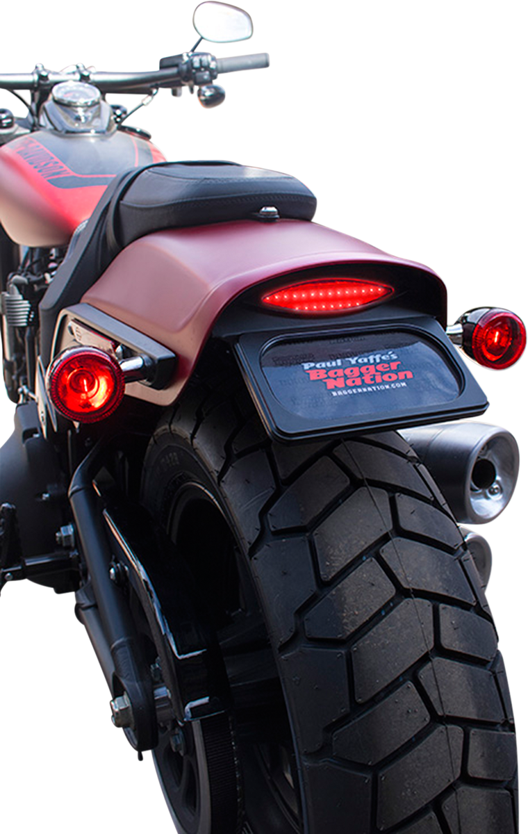 Bagger Nation 2030-1450 - PAUL YAFFE BAGGER NATION License Plate Relocation Kit LPF ...