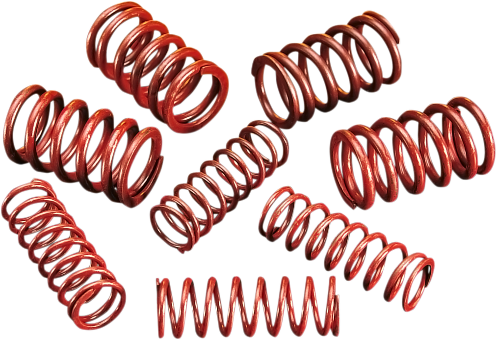 DS-199739 - ANDREWS High-Lift Springs 294150