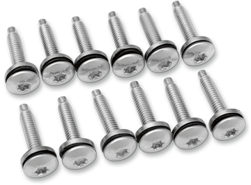 2401-0741 - DRAG SPECIALTIES Electric Fuel Injection Mount Screw - 12-Pack MPBDR14